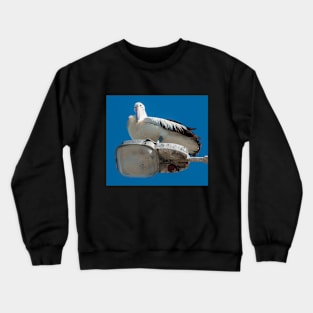 Australian Pelican - What Ya Looking At ?? Crewneck Sweatshirt